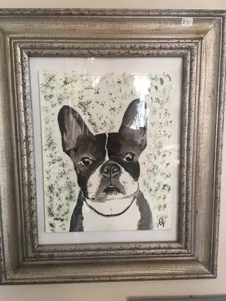 Rags to Rescue