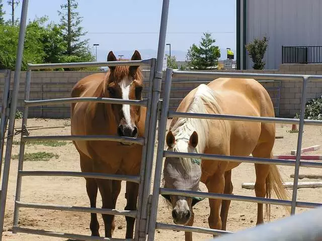 Ready 2 Ride Ranch