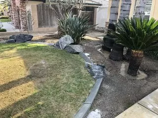 Kangarooter