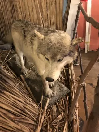 Buena Vista Museum of Natural History & Science