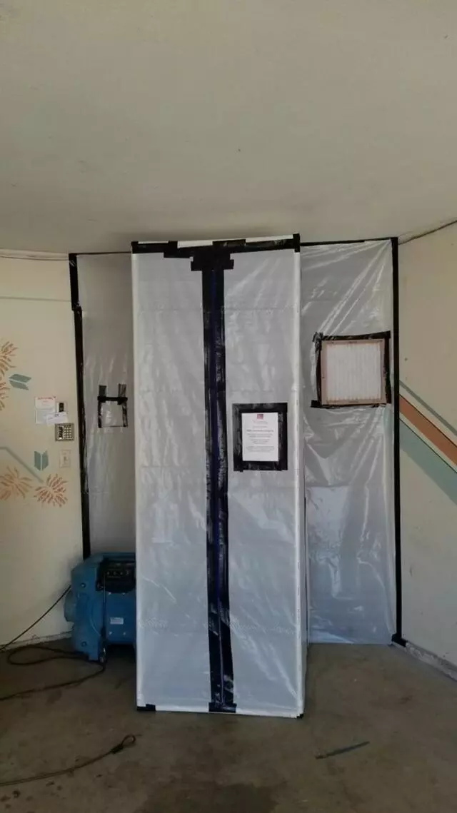 Alpha Water and Mold