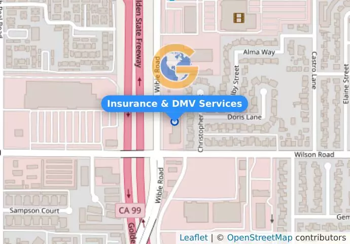 Insurance & DMV Services