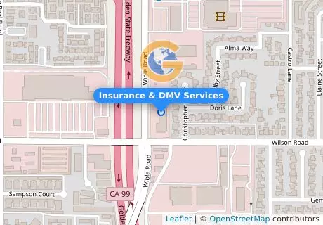 Insurance & DMV Services