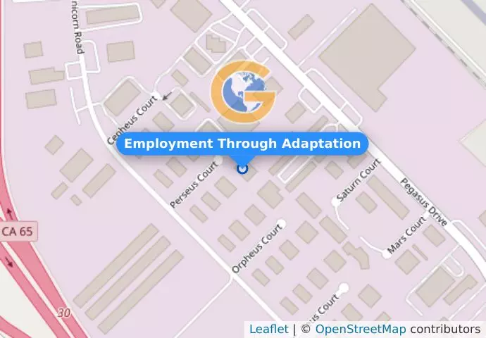 Employment Through Adaptation