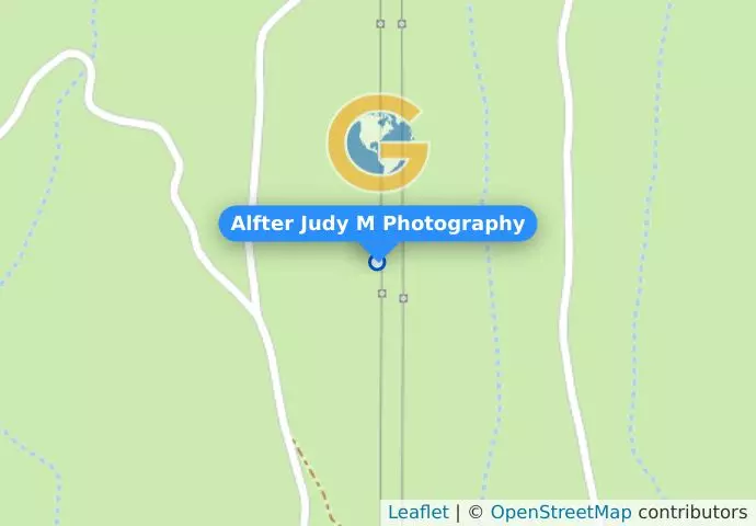 Alfter Judy M Photography