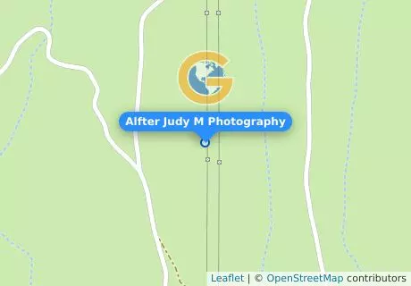 Alfter Judy M Photography