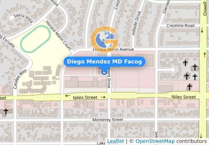 Diego Mendez MD Facog