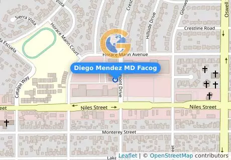 Diego Mendez MD Facog