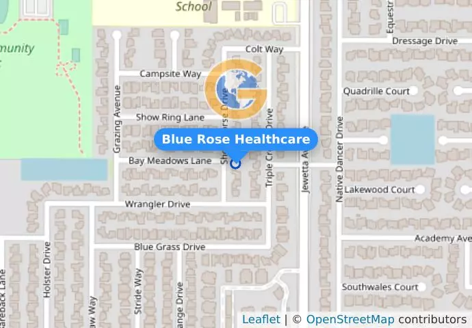 Blue Rose Healthcare