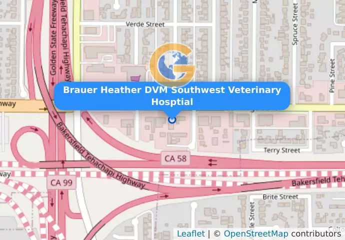 Brauer Heather DVM Southwest Veterinary Hosptial