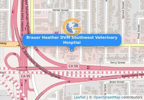 Brauer Heather DVM Southwest Veterinary Hosptial