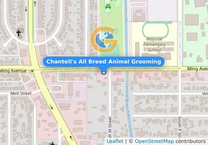 Chantell&apos;s All Breed Animal Grooming