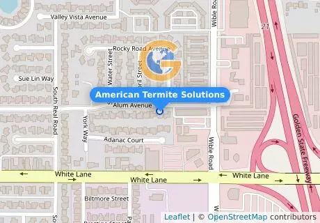 American Termite Solutions
