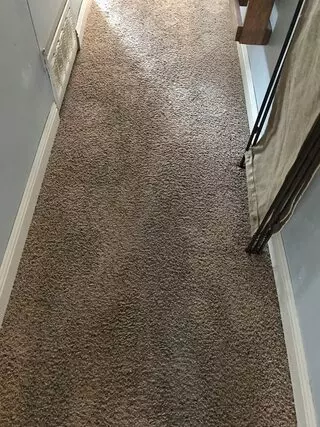 Superior Carpet & Upholstery Cleaning