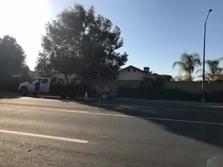 General Tree Service