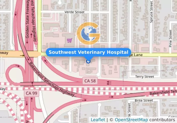 Southwest Veterinary Hospital