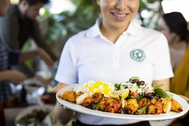 Panini Kabob Grill