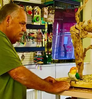 For The Birds And More
