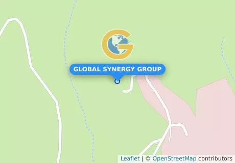 GLOBAL SYNERGY GROUP