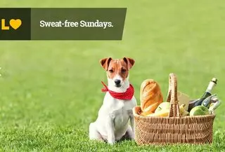 Lawn Love Lawn Care
