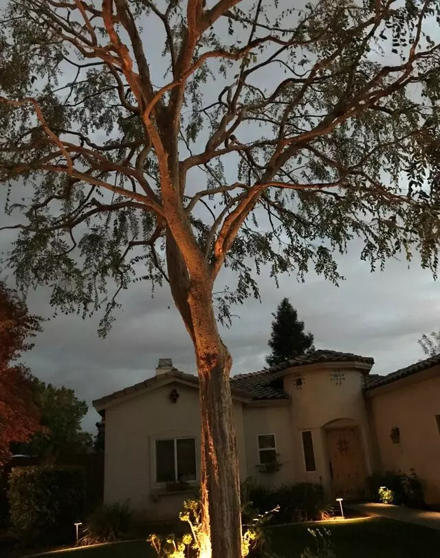 Michael&apos;s Tree Service