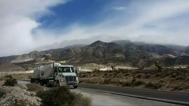 Apex Bulk Commodities