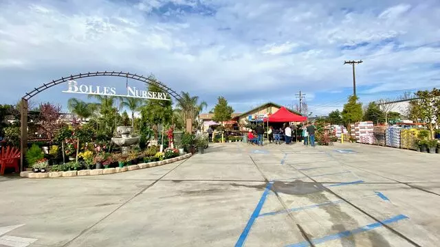 Bolles Nursery Landscape