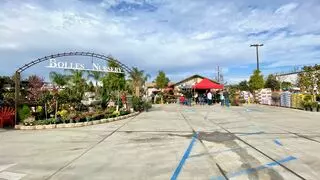 Bolles Nursery Landscape