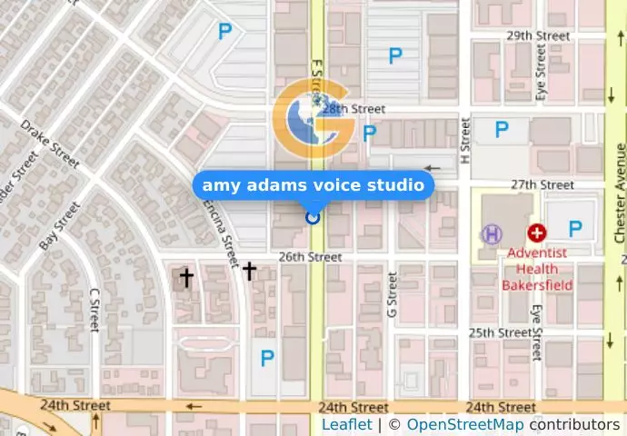 amy adams voice studio