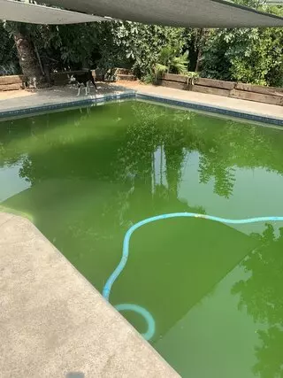 Poma Pool Cleaning Service