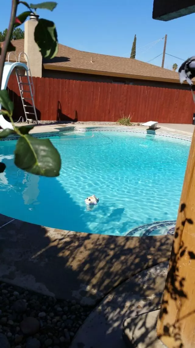 Graces Pool & Spas