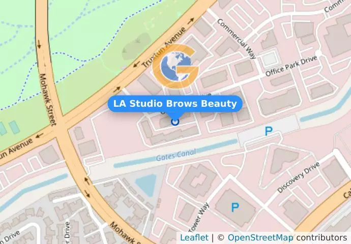 LA Studio Brows Beauty