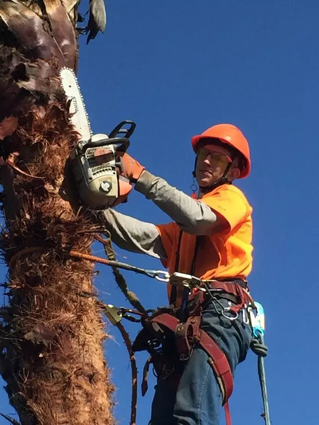 B & M Gardening & Tree Service