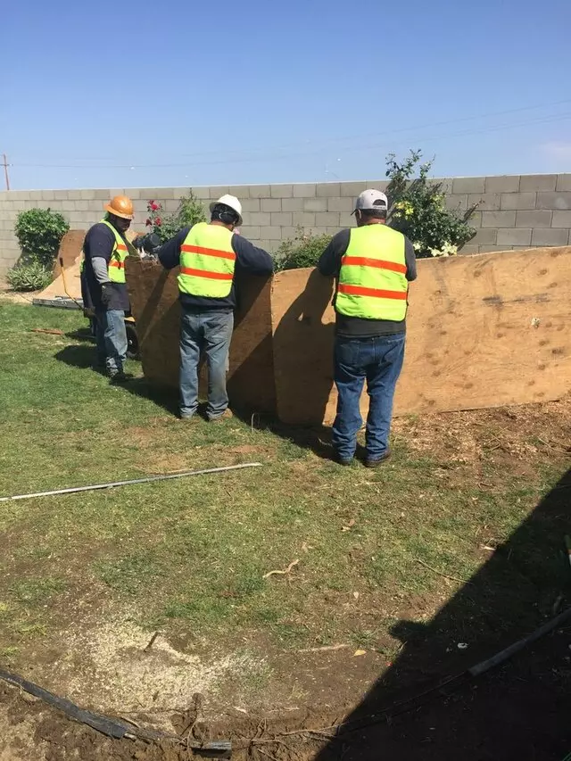 Cervantes Tree Services