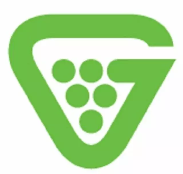 Grapevine MSP Technology Services