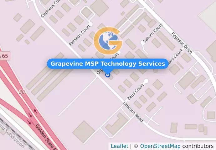 Grapevine MSP Technology Services