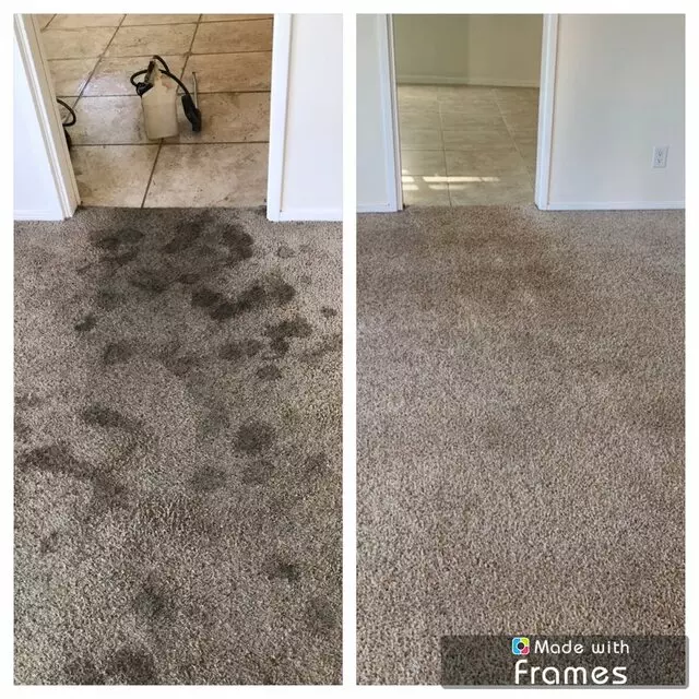 Dreamclean Carpet