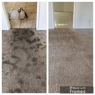 Dreamclean Carpet
