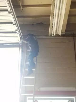 Olympian Overhead Doors